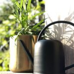 Black Watering Can for Plants Antique Garden