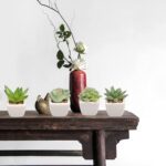 Artificial Succulent Plants Flowers Home Decor Items