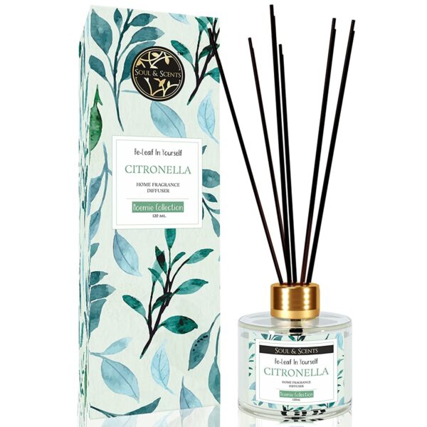 Soul & Scents Citronella Scented Reed Diffuser for Living Room