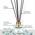 Soul & Scents Citronella Scented Reed Diffuser for Living Room