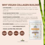 Unived Vegan Collagen Builder