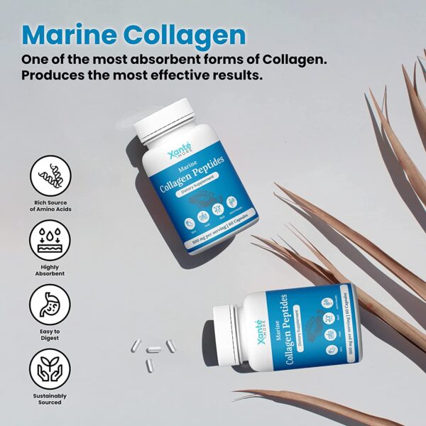 Xante Pure Marine Collagen Peptide Capsules