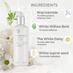 The Face Shop White Seed Brightening Toner with 2% Niacinamide
