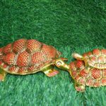 Metal Handmade Red & Gold Turtle