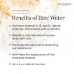 The Face Shop Rice & Ceramide Moisturizing Cream with Rice Extracts for brightening and Moisturizing Korea-6