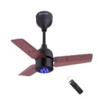 Renesa 600mm BLDC motor Energy Saving Ceiling Fan with Remote Control (Brown and Black)
